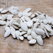 China wholesale export pumpkin seeds